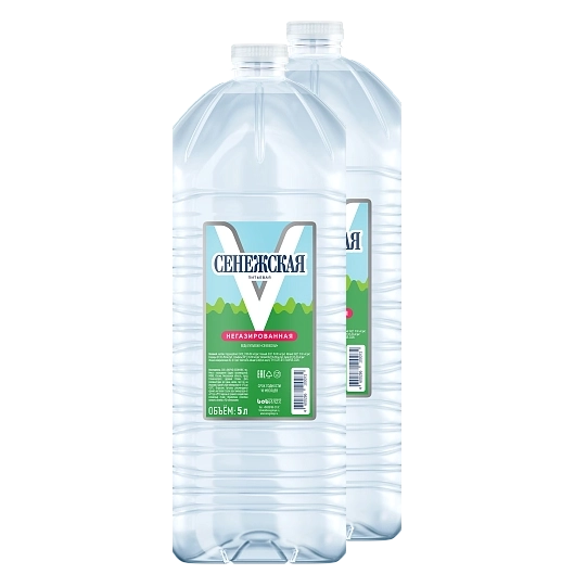 Вода питьевая Сенежская Негазированная 5 литров, 2 шт.